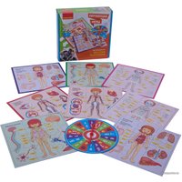 Развивающая игра Bondibon Веселая анатомия ВВ3792
