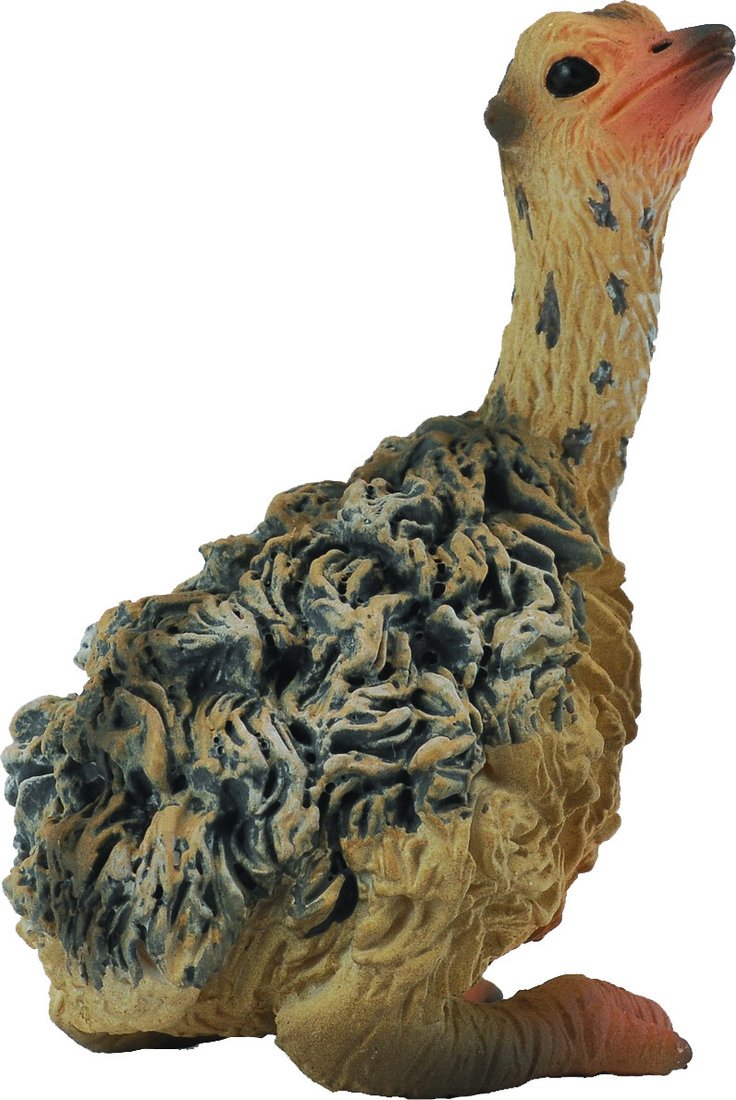 

Фигурка Collecta Страус сидящий 88460b