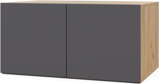 Шкаф распашной Modern Челси Ч82 (золотой дуб/графит)