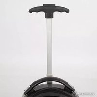 Чемодан Ecotope 227-109/16-BWK (черный)