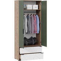 Шкаф распашной Трия Лео ТД-410.07.22 (гикори джексон/белый матовый/дымчатый зеленый)