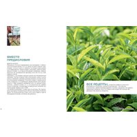  Комсомольская правда. Тарелка молодости (Ильин Сергей; Ильина Милена) в Лиде