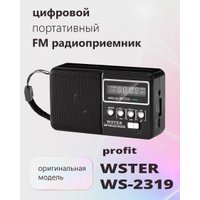 Радиоприемник Wster WS-2319 (черный)