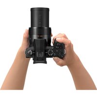 Фотоаппарат Panasonic DC-FZ1000 II