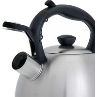 Чайник со свистком Webber BE-0578