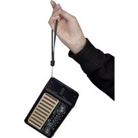 Радиоприемник Ritmix RPR-020