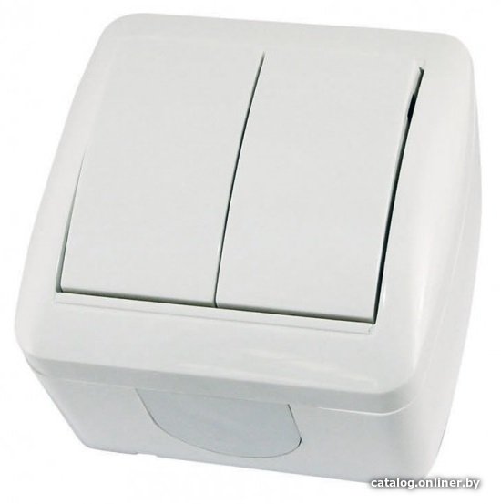 Выключатель TDM Electric Селигер SQ1818-0002