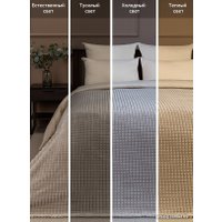 Плед Tex Republic Deco Кубики Фланель 200x220 93255 (бежевый)