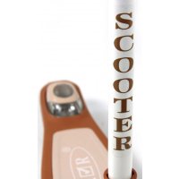 Трехколесный самокат RiverToys HB-T8 (коричневый)