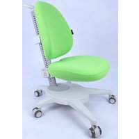 Компьютерное кресло ErgoSmart Gulliver с чехлом (салатовый)
