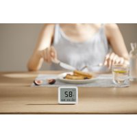 Термогигрометр Xiaomi Smart Temperature and Humidity Monitor 3 MJWSD05MMC (китайская версия)