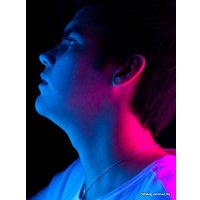 Лампа Raylab RL-20RGB 2800-9900K в Могилеве