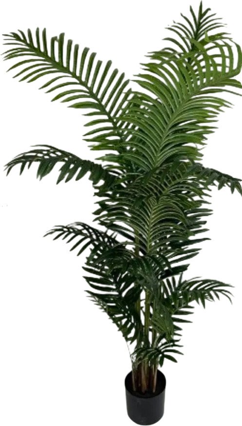 

Искусственное растение Merry Bear Home Decor Пальма Ропалостилис Элит A144165 (165см)