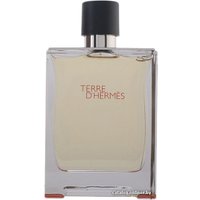 Туалетная вода Hermes Terre d'Hermes EdT (200 мл)