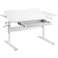 Парта Растущая мебель Е603