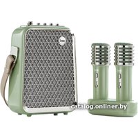 Беспроводная колонка Divoom SongBird-HQ (зеленый) в Бресте