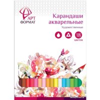 Набор акварельных карандашей АртФормат AF03-041-18