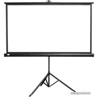 Проекционный экран Classic Solution Crux (16:9) 242x142 (T 235x132/9 MW-S0/B)