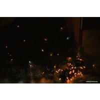 Светодиодная гирлянда Огоньки Диод 170 100 LED 10 м (белый теплый)