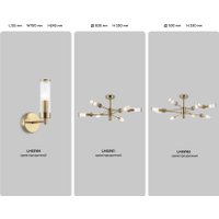 Припотолочная люстра Ambrella light LH55161/6 BS/CL (латунь/прозрачный)
