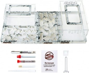 Формикарий AntsMinsk Стартовый комплект XXXL+X+Arena Marble