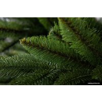 Ель GreenTerra Калифорнийская 1.8 м