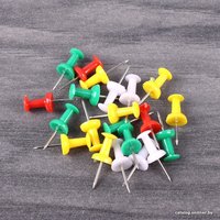 Кнопки канцелярские Globus КС-50Ц