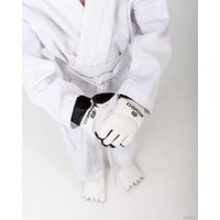 Тренировочные перчатки BoyBo WTF с фиксацией (M)