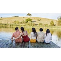 Умная колонка Bose Portable Home Speaker (серебристый)