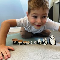 Развивающая игра Брестская Фабрика Сувениров Медведь панда (набор 5 шт)