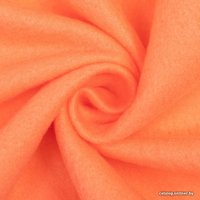 Плед Экономь и Я 7584262 150x200 (коралловый, 160 г/м2)