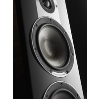 Напольная акустика DALI Oberon 9 (черный)
