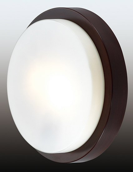 

Светильник-тарелка Odeon Light Holger [2744/2C]