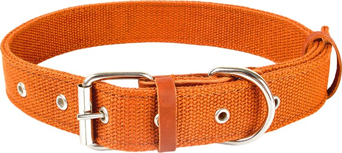 

Ошейник Zoonik 10175-2 (оранжевый)