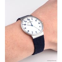 Наручные часы Skagen SKW6098