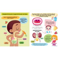 Энциклопедия издательства Clever. Удивительные энциклопедии. Тело человека