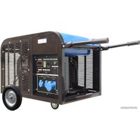 Бензиновый генератор ТСС SGG 10000EH