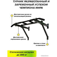 Турник Absolute Champion треххватный к стене Maх (черный)