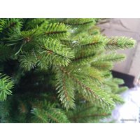 Ель GreenTerra Аляска Слим 1.8 м