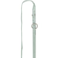 Шлея с поводком Trixie Junior набор шлея 36-50 см +поводок 2 м M-L (мятный) в Солигорске