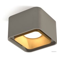 Припотолочная люстра Ambrella light Techno spot XS7834004 SGR/SGD