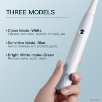 Ирригатор  Evolution WF-01 + Электрическая зубная щетка Enchen T501 (серый)