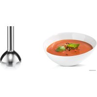 Погружной блендер Bosch MSM26500