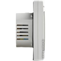 Терморегулятор Daewoo Enertec X3 (2017)