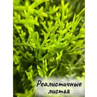 Искусственное растение Merry Bear Home Decor Туя трапецевидная KA0037