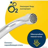 Смеситель Eleanti Opal 0402.895