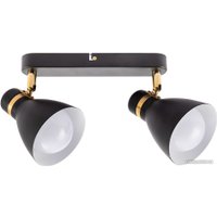 Спот Arte Lamp Fafnir A5047PL-2BK