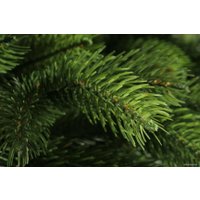 Ель Царь Елка Беверли 1.5 м