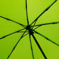 Зонт Rain Berry 734-1399.3 (салатовый)