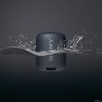 Беспроводная колонка Sony SRS-XB12 (черный)